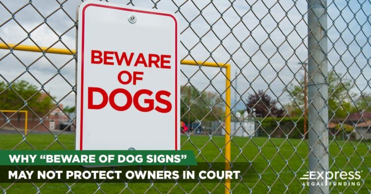 Beware of Dogs Sign on Chain Link Fence