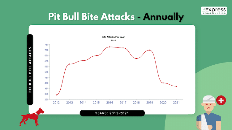 Pit Bull Bite Attacks Per Year infographic